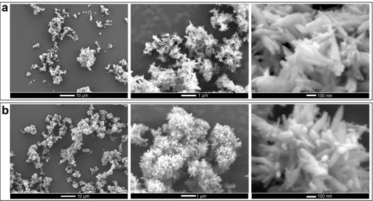 Fig. 13. SEM photos of the agglomerated powder recovered after synthesis. a) without pH regulation (Run 3)