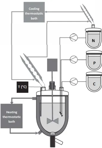 Fig. 1. Lab-scale re.ictor for HAP process synthesis. 