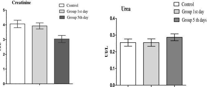 Figure 4: Effect of administration of total alkaloid extract of Ruta montana (129.68 mg/kg) on some biochemical  parameters of kidney function in male mice in acute toxicity study
