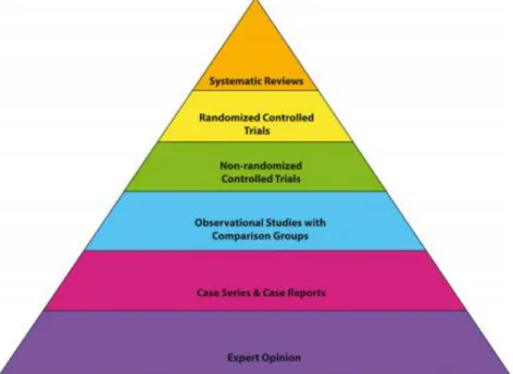 Figure 1 : Un exemple de pyramide de l’évidence-based medecine (Kaufmann, 2016). 