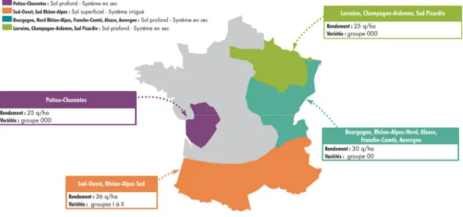 Figure 5 : Carte des différentes zones de culture du soja en France, des groupes de maturités 
