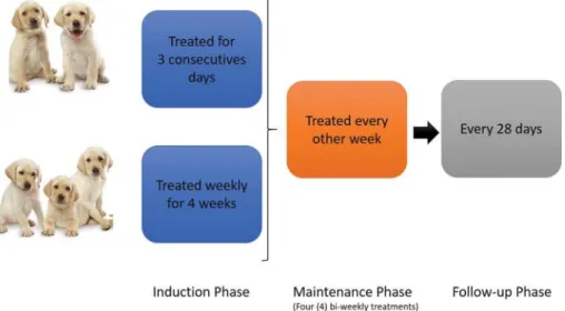 Figure 1. Pilot clinical study design and treatment regimen