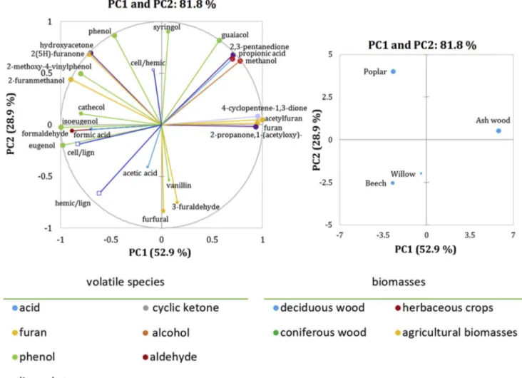 Fig. 13. Loading plot (left) and score plot (right) of the PCA on the total volatile species production in torrefaction for deciduous wood