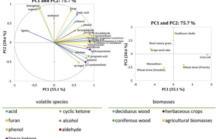 Fig. 15. Loading plot (left) and score plot (right) of the PCA on the total volatile species production in torrefaction for the agricultural and herbaceous crops