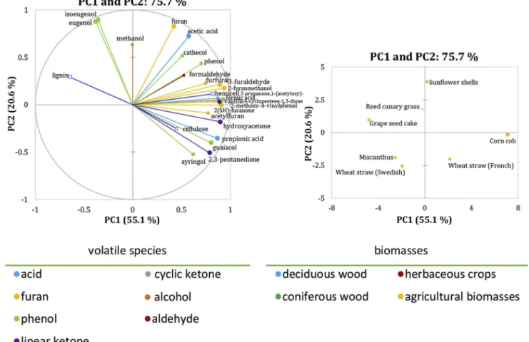 Fig. 15. Loading plot (left) and score plot (right) of the PCA on the total volatile species production in torrefaction for the agricultural and herbaceous crops