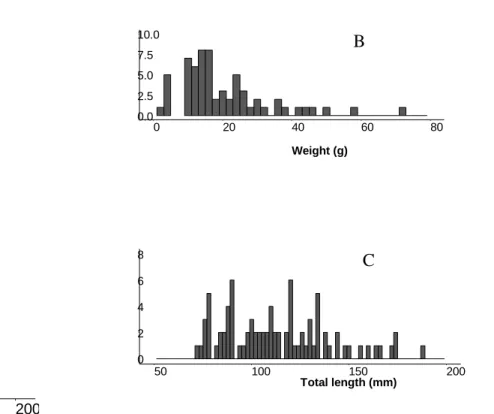 Figure 2: Relationship between weight and total length (A), as well as distribution of weight  (B) and total length (C) for the 86 tested fish