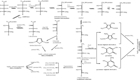 Fig. 9 Schematic representation of steps involved in the formation of principal conjugates obtained from alginate-gelatin model system during Maillard reaction