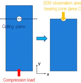 Fig. 30. Second SEM observation area (on the bearing plane/bearing zone).