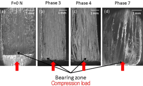 Fig. 10. Damage chronology for the [0] 10 specimens: (a) before testing (SEM image), (b) first matrix cracks (phase 3, high speed camera image), (c) propagation of