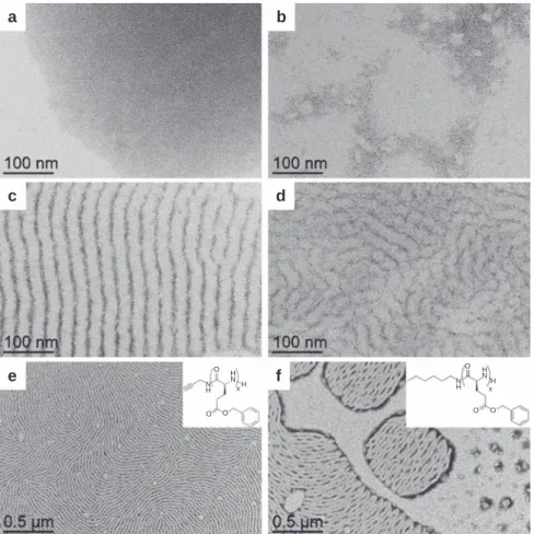 Fig. 2 Effect of the relative quantity of polymer vs. nanoparticle and effect of the terminal group
