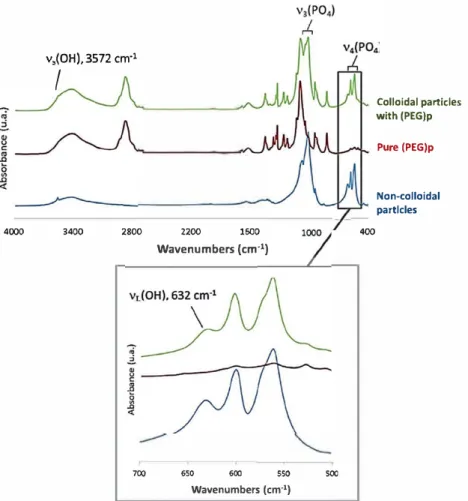 Fig.  2.  FTIR  spectra for colloïdal  and non-colloidal apatite particles and for pure (PEG)p  ( MW  5200  g/mol)
