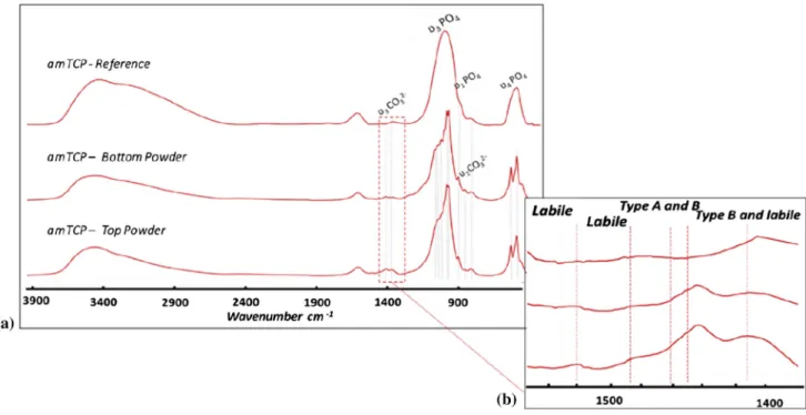 Figure 5 FTIR spectra of amTCP reference powder, Bottom Powder, Top Powder: a 4000–400 cm -1