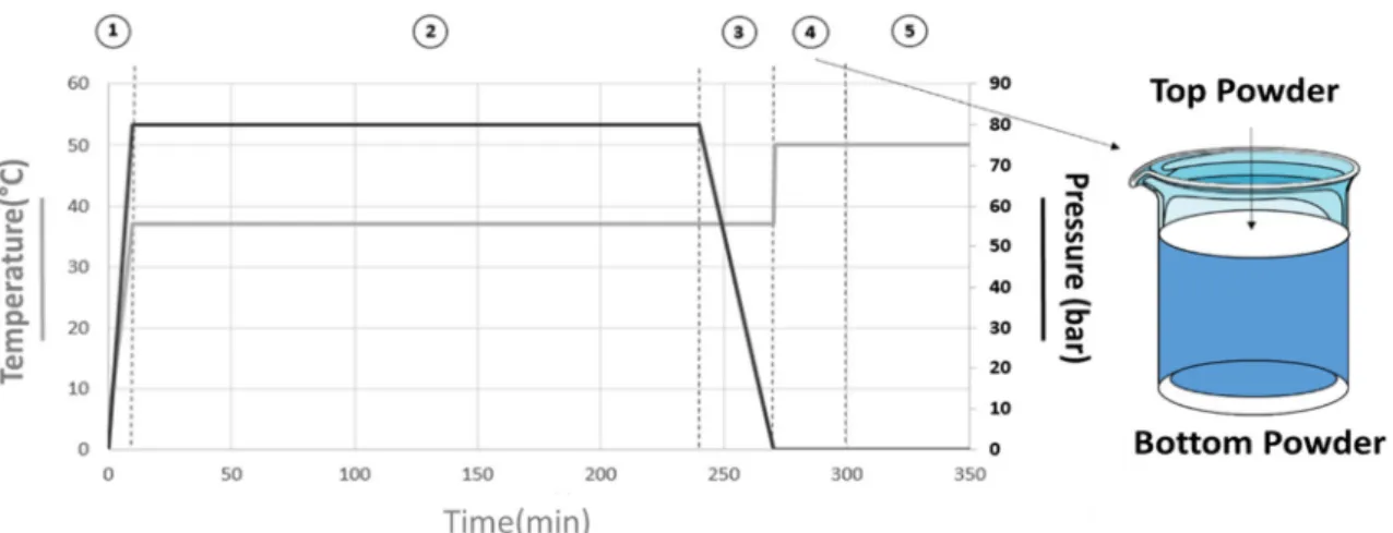 Figure 1 Parameters (temperature and pressure) set during the processing steps (1—pressurization, 2—treatment for 4 h, 3— depressurization, 4—precipitation of a new phase at the surface, 5—beginning of the 24-h drying step).