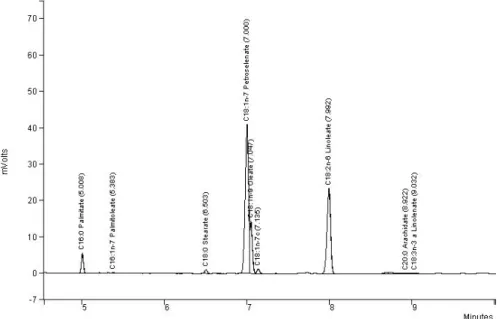 Figure 2. Chromatogram of fatty acid composition of Lebanese population of cumin.  