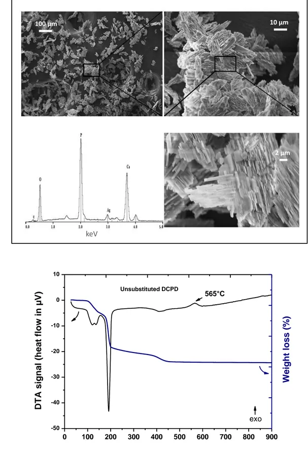 Figure SI2: Characteristics of unsubstituted brushite: a) SEM micrographs and EDX  spectrum and b) TG/DTA data 