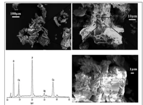 Fig. 6 a revealed that pure DCPD, such as the non cytotoxic