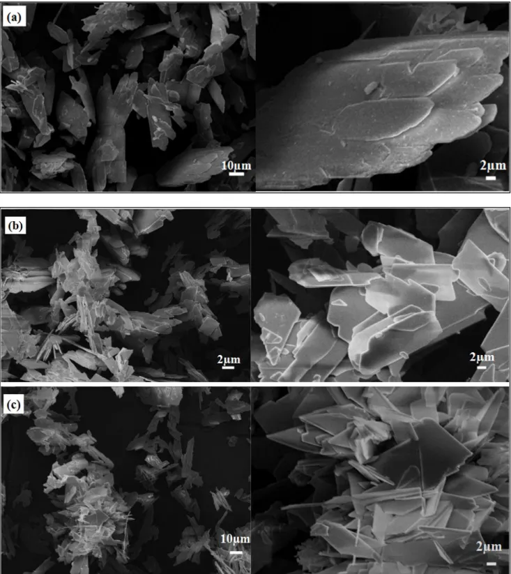 Figure SI3: SEM images (initial magnifications: x500 and x2000) showing the morphology  of (a) unsubstituted DCPD, (b) Mg10-DCPD, (c) Mg20-DCPD, (d) Sr10-DCPD, (e)  Ag5-DCPD and (f)Zn10-Ag5-DCPD 