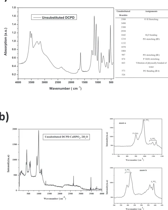 Fig. 1. Vibrational spectroscopy analysis of unsubstituted brushite: a) FTIR spectrum with main band assignments and b) Raman spectrum