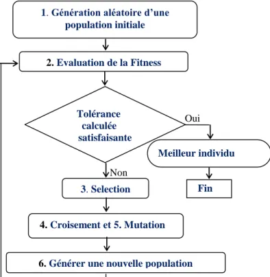 Figure 1.3 : Organigramme d’évolution de l’AG.  