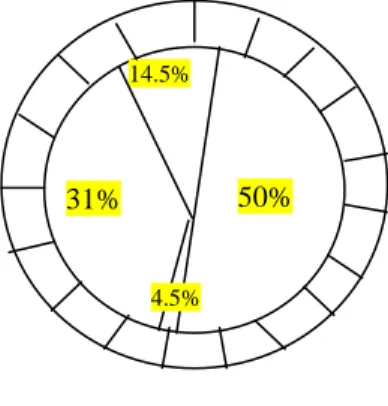 Figure 1.4 : Roulette biaisée.