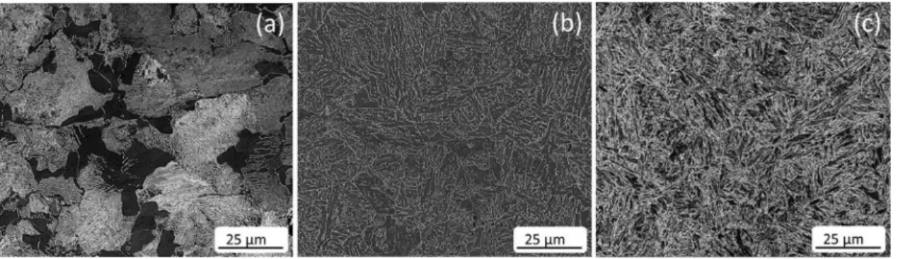 Fig. 1. Initial (a) ferrite-pearlite, (b) bainite and (c) tempered martensite microstructures of the investigated steel as observed by SEM (standard metallography preparation and 2% Nital etching).