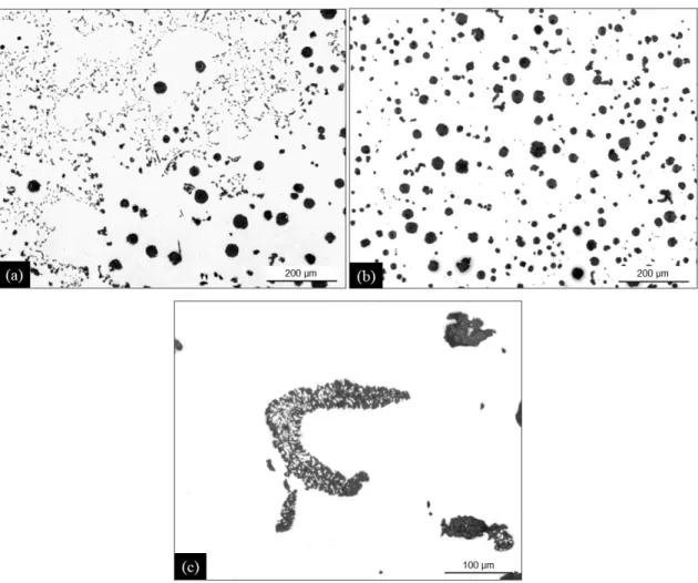 Figure 4. Micrographs of high-silicon casting P2 in location T3 of the cylindrical casting (a) and in the 