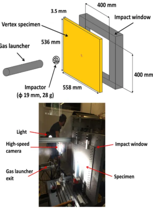 Fig. 3. Impact test set-up.  