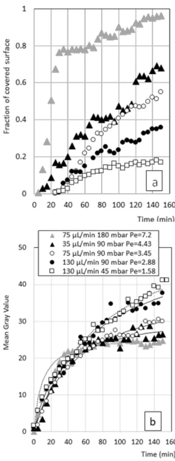 Fig. 8. a) Evolution of surface coverage by ACQ zones and of b)Mean Gray 