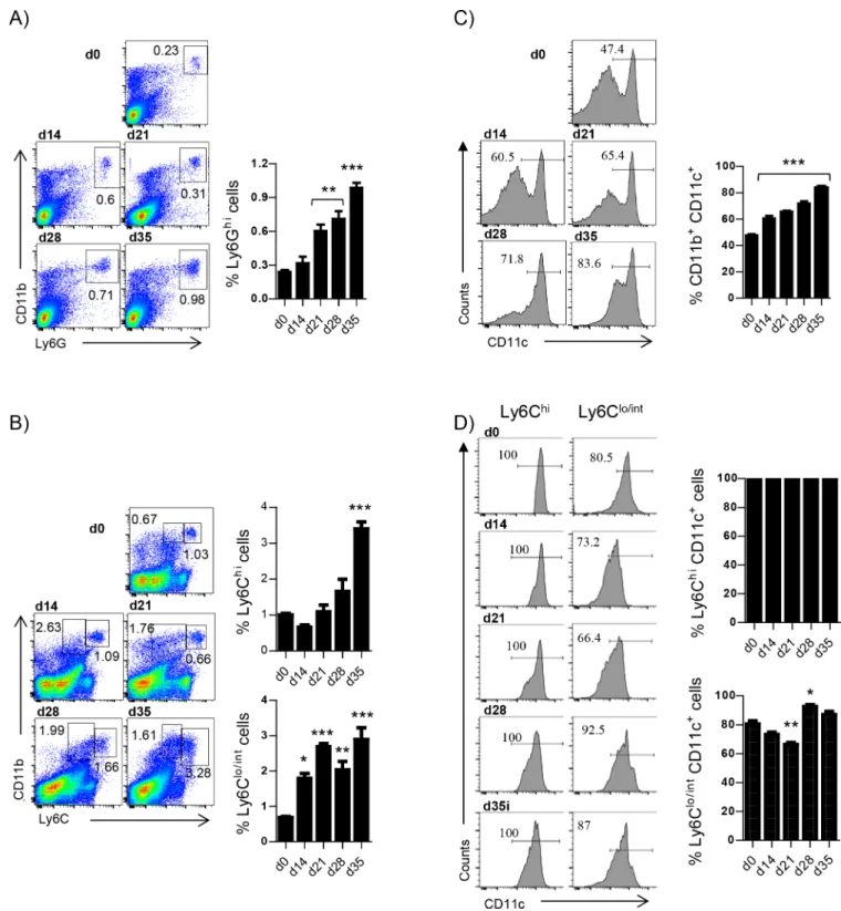 Fig 1. Myeloid cells, particularly Ly6C hi and Ly6C lo/int monocytes, accumulate in the spleen of L