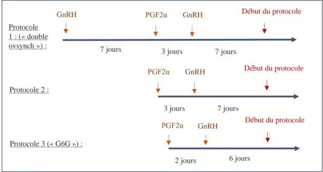 Figure 11 : Protocoles de pré-synchronisation à base GnRH et PGF2alpha (Stevenson, Britt, 2017)