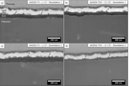 Fig.  5. SEM-FEG observations of cross-sections  obtained for TCP coated AA2024 samples