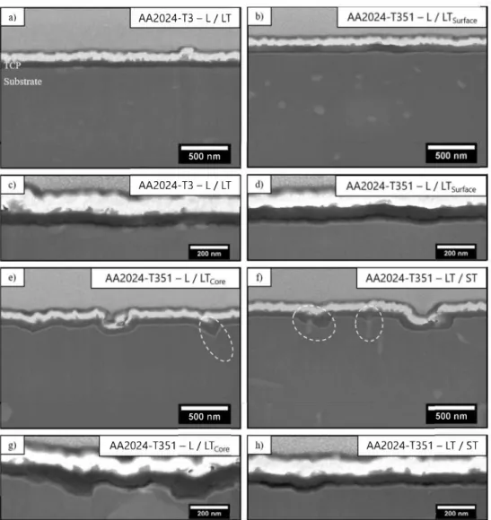 Fig. 8. SEM-FEG  observations of cross-sections obtained for  TCP  coated  AA2024  samples