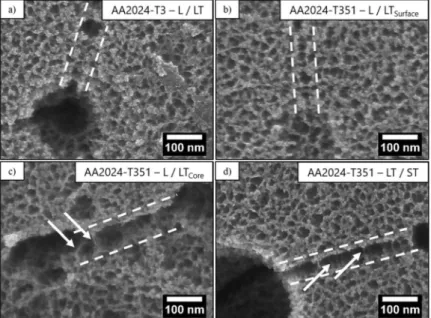 Fig. 11. SEM-FEG surface observations of AA2024 samples degreased, deoxidised (deoxidation 1 solution) and inunersed in the TCS bath for 3 s