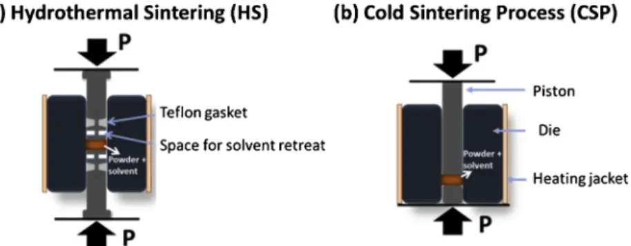 Fig. 2. Simplified schematics to highlight main differences between (a) Hydrothermal sintering, (b) Cold sintering and their main specificities