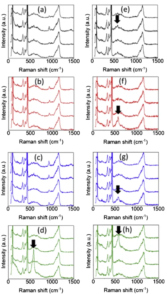 Fig. 10. Raman spectroscopy of hydrothermally sintered samples: (a) HS0, (b) HS20, (c) HS40, (d) HS80 and cold sintered samples: (e) CSP0, (f) CSP20, (g) CSP40,