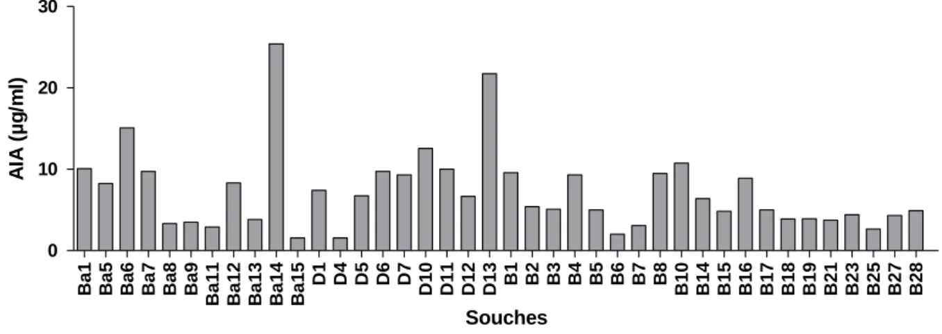 Tab. 9 : Analyse de la variance de la production  de l’AIA  par les souches à Gram-  