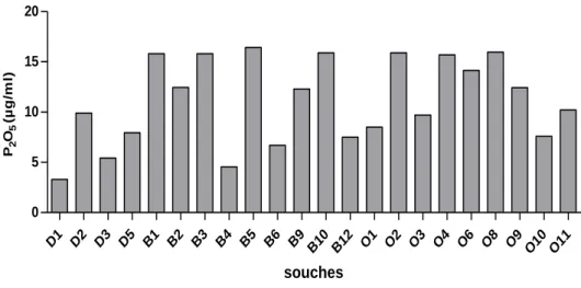 Tab. 11 : Analyse de la variance de la solubilisation des phosphates   par les souches à  Gram-