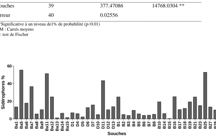 Tab. 12 : Analyse de la variance de la production des sidérophores   par les souches de  Bacillus  