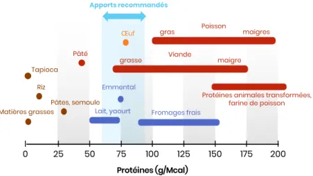 Figure 10 – Teneurs en protéines d’aliments usuels pour carnivores domestiques  (source : ENVT) RizI2550I75I100I125I 150I 175I 200IProtéines (g/Mcal) TapiocaPâtes, semouleMatières grassesLait, yaourt