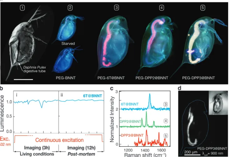 Figure  4 presents an example of the use of nanohybrids 