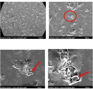 Fig. 3. Micrographies montrant certains détails  de défauts typiques induits par la projection de 