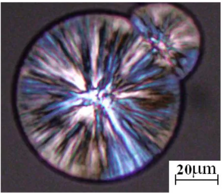Figure I.6 Sphéolite de polypropylène observé au microscope optique en lumière polarisée  [18]