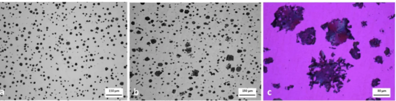 figure 1-b illustrates the marked coalescence undergone by the graphite precipitates. Figure  1-c  shows  at  higher  magnification  that  growth  of  the  large  precipitates  proceeds  by  the  development  of  dendrite-like  protuberances  instead  of  