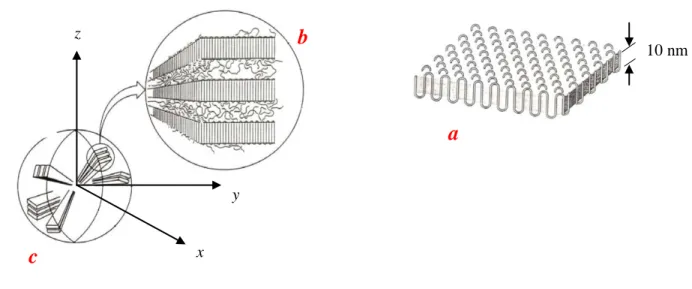 Figure II.2 : Schéma représentant: (a) la structure d’une lamelle cristalline formée par repliements successifs 
