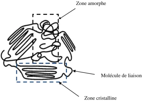 Figure II.4 : Structure semi cristalline d’un polymère [7]. Zone amorphe 