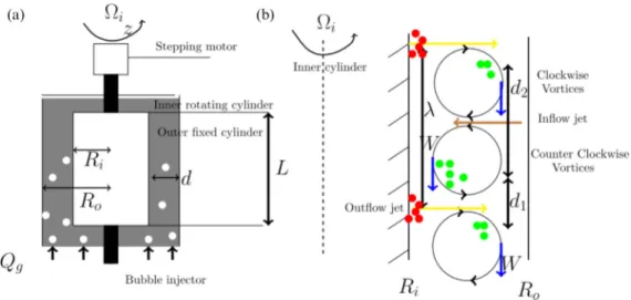 FIG. 1. Conceptual sketch of the bubbly Taylor-Couette flow: (a) Taylor-Couette system; (b) view of preferential localization of the bubbles in the gap (bubbles are represented as full circles).