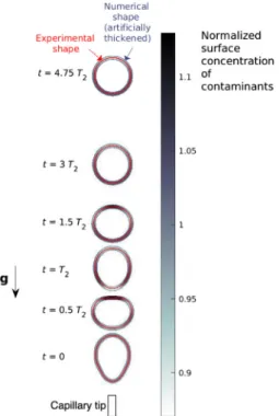 Figure 1 shows an excellent agreement between exper-