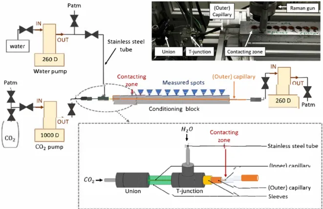 Fig. 1  shows the experimental setup used to measure the molar  fraction of COi dissolved in the water rich phase