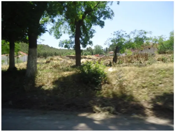 Fig. 28. Le projet de la clôture de la forêt de Znadia 2014 