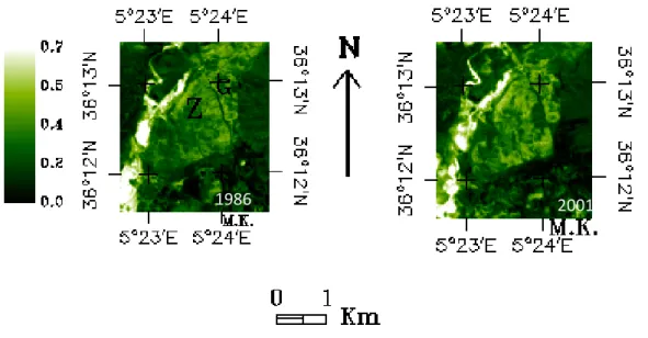 Fig. 34. Répartition spatiale de l’ind ice NDVI en 1986 et 2001 (ETM+)  